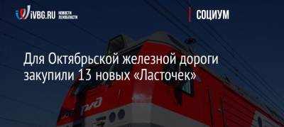 Для Октябрьской железной дороги закупили 13 новых «Ласточек» - ivbg.ru