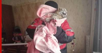 В Саратове спасатели избавили женщину от злобного кота: фото - profile.ru - Саратов