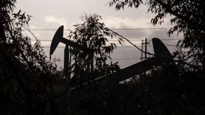 Жажда наживы побеждает страх: судьба рубля в руках нефти - vesti.ru