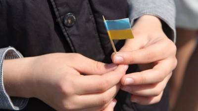 Владимир Зеленский - Скандалы в украинских школах сильно повысили градус социального напряжения - polit.info - Украина - Кривой Рог