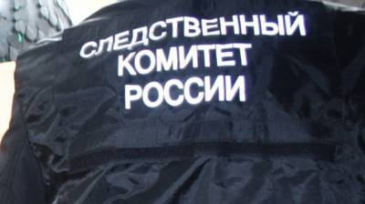 СК РФ возбудил дело по факту кражи пушки с памятника воинам СССР в Латвии - newinform.com - Латвия