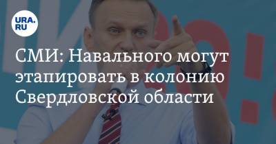 Алексей Навальный - СМИ: Навального могут этапировать в колонию Свердловской области - ura.news - Московская обл. - Свердловская обл. - республика Мордовия