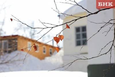 В Коми в выходные ожидается небольшой снег - bnkomi.ru - респ. Коми - Сыктывкар