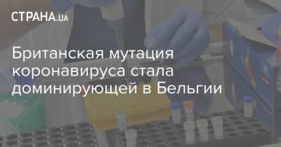 Александр Де-Кроо - Британская мутация коронавируса стала доминирующей в Бельгии - strana.ua - Англия - Бельгия