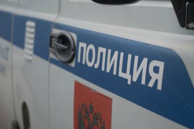 Ирина Волк - Жительница Подмосковья без причин стала избивать людей на улице - mk.ru - Московская обл.