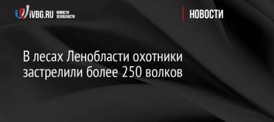 В лесах Ленобласти охотники застрелили более 250 волков - ivbg.ru - Ленинградская обл. - Бокситогорск