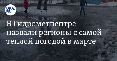 Роман Вильфанд - В Гидрометцентре назвали регионы с самой теплой погодой в марте - ura.news - Новосибирск - Тюмень - окр.Сзфо