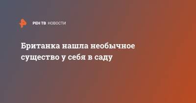 Британка нашла необычное существо у себя в саду - ren.tv - Англия - Manchester - Великобритания