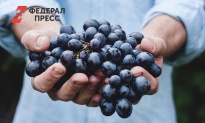 Римма Мойсенко - Диетолог перечислила вредные для здоровья фрукты - fedpress.ru - Москва