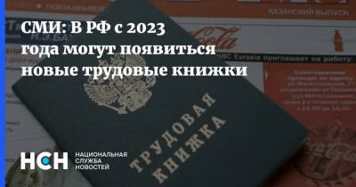 СМИ: В РФ с 2023 года могут появиться новые трудовые книжки - nsn.fm