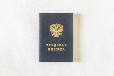 В России захотели ввести новые трудовые книжки - lenta.ru