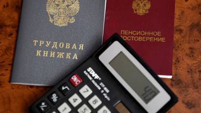 В России через два года могут появиться трудовые книжки нового образца - gazeta.ru