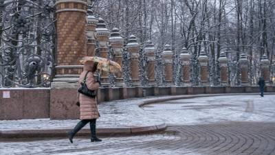 Михаил Леус - Продолжение оттепели: в Петербурге ждут дожди с мокрым снегом - dp.ru - Санкт-Петербург