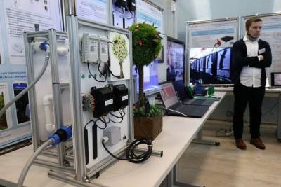 Почти 30% тамбовских школьников выбирают IT-профессии - tambov.mk.ru