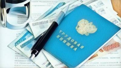 Трудовые книжки нового образца могут появиться в России с 2023 года - riafan.ru - Москва