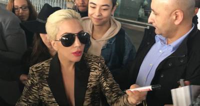 Леди Гага - Леди Гаге вернули похищенных бульдогов - ru.armeniasputnik.am - Лос-Анджелес