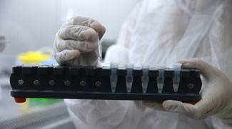 Иммунитет белорусов и мутации SARS-CoV-2 - что известно специалистам и ученым - belta.by