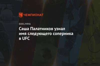 Даррен Тилл - Хоакин Бакли - Саша Палатников узнал имя следующего соперника в UFC - championat.com - Англия