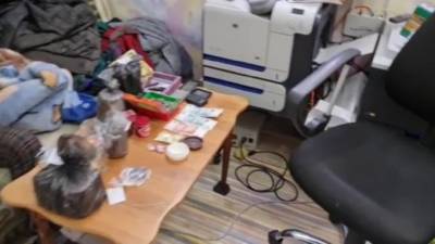 В Гатчине задержан торговец широким ассортиментом наркотиков - piter.tv - Ленинградская обл. - Санкт-Петербург