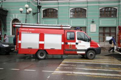 В пожаре на Гранитной улице погибла женщина - neva.today - Санкт-Петербург