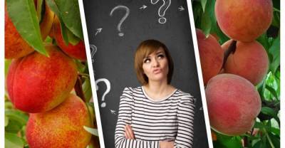 Римма Мойсенко - Диетолог Римма Мойсенко назвала самые опасные для здоровья фрукты - runews24.ru