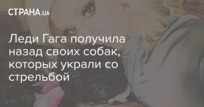 Юлий Тимошенко - Леди Гага - Леди Гага получила назад своих собак, которых украли со стрельбой - strana.ua