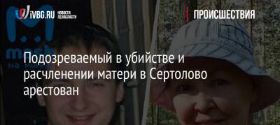 Подозреваемый в убийстве и расчленении матери в Сертолово арестован - ivbg.ru - Ленинградская обл. - Сертолово