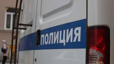 Правоохранители в Петербурге возбудили дело против телефонного "террориста" - nation-news.ru - Москва - Санкт-Петербург - Киргизия