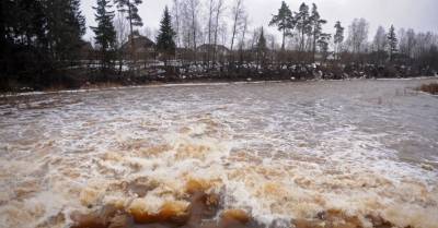 В большинстве латвийских рек продолжает расти уровень воды - rus.delfi.lv - Латвия