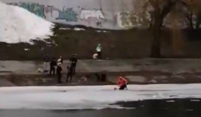 В Киеве спасатели вытащили из воды женщину с собакой - news.bigmir.net - Киев