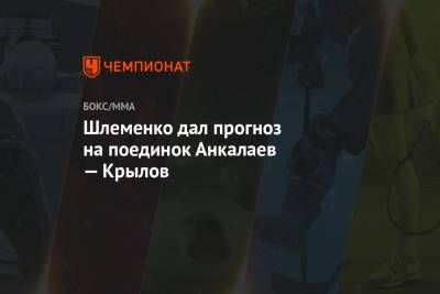 Максим Гришин - Александр Шлеменко - Никита Крылов - Магомед Анкалаев - Шлеменко дал прогноз на поединок Анкалаев — Крылов - championat.com