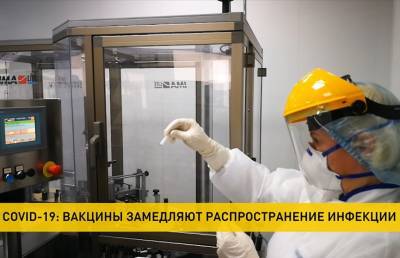 COVID-19: количество инфицированных достигло 113 млн - ont.by - Бельгия - Чехия