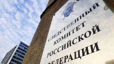 Александр Бастрыкин - Глава СК РФ взял дело изнасилованной юной петербурженки под личный контроль - piter.tv - Санкт-Петербург - Колпино - Следственный Комитет