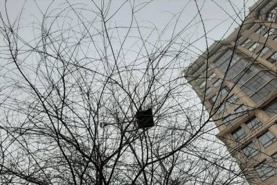 В Саратове снег не убирают из-за летающих лопат - saratov.mk.ru - Саратов