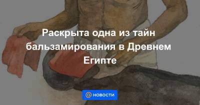 Раскрыта одна из тайн бальзамирования в Древнем Египте - news.mail.ru - Египет - Копенгаген