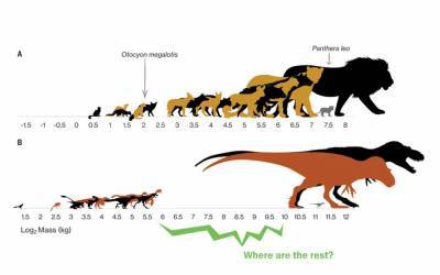 Доказана новая теория о превосходстве тираннозавра - fainaidea.com - Мехико