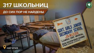 Власти Нигерии не справляются с участившимися нападениями боевиков - riafan.ru - Нигерия