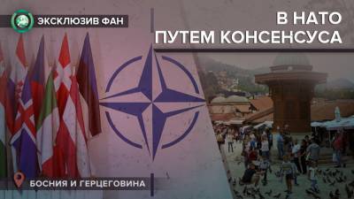 Посольство США в Сараево: в НАТО только путем консенсуса - riafan.ru - Босния и Герцеговина - Сараево