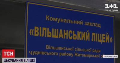 Распространял оскорбления и задания с матом: в Житомирской области ученик лицея травил учителей - tsn.ua - Житомирская обл.