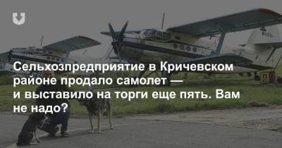 Сельхозпредприятие в Кричевском районе продало самолет — и выставило на торги еще пять. Вам не надо? - news.tut.by