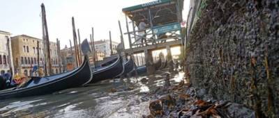В Венеции пересохли водные каналы из-за низких приливов - w-n.com.ua