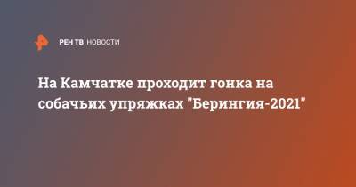 На Камчатке проходит гонка на собачьих упряжках "Берингия-2021" - ren.tv