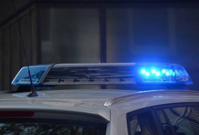 Двое мужчин и женщина подозреваются в изнасиловании школьницы в квартире на Витебском проспекте - online47.ru - Санкт-Петербург