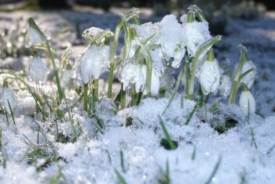 Морозы покинут Новосибирск в первую неделю весны: погода на 1-7 марта - novos.mk.ru - Новосибирск