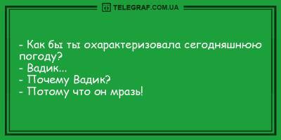 Позитивные анекдоты на утро 28 февраля, которые заставят вас хохотать - ТЕЛЕГРАФ - telegraf.com.ua