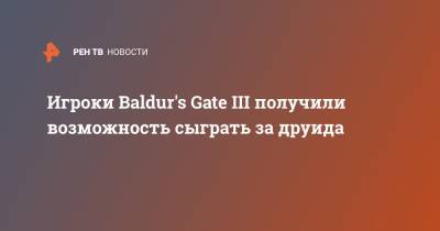 Игроки Baldur's Gate III получили возможность сыграть за друида - ren.tv