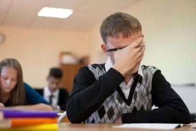 ГВЭ вместо ЕГЭ — премьер Мишустин сделал послабление костромским выпускникам - kostroma.mk.ru
