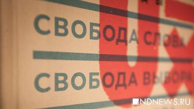 В Ирландии после акции протеста против коронавирусных ограничений задержаны 23 человека - newdaynews.ru - Ирландия - Дублин