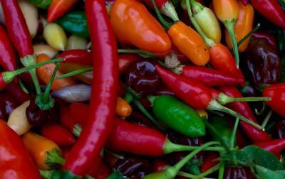 Медики назвали снижающий риск смерти на 25% продукт - korrespondent.net