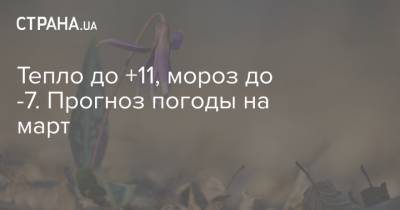 Тепло до +11, мороз до -7. Прогноз погоды на март - strana.ua - Киев - Львов - Одесса
